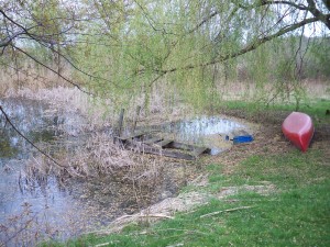 pond, decrepit old dock mar 2012 (10)