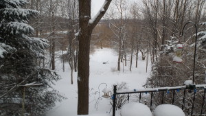 snow covered pond
