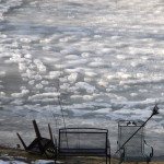 Close up of the raised frozen animal tracks.