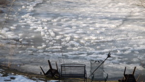 Close up of the raised frozen animal tracks.