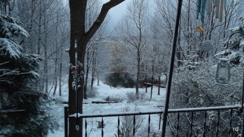 It was spring here yesterday