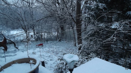 looking westward from the deck