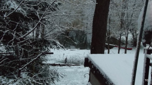 Some pond, and some snow