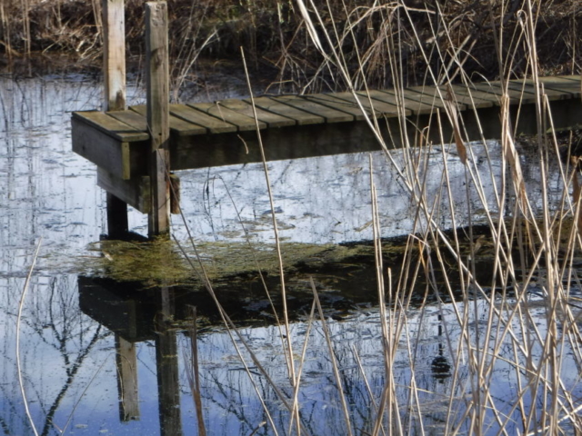 The dock and its reflection